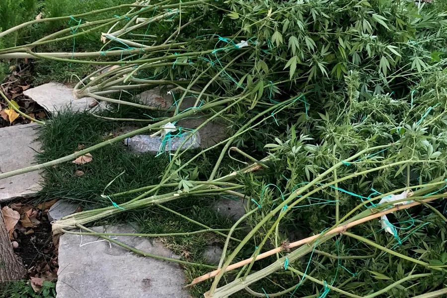 AirBNB φτιαγμένο από … χασίς σε βίλα στη Χερσόνησο