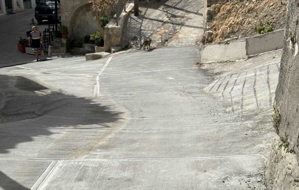 Ο Δήμος Μαλεβιζίου έκανε… πράξη το αίτημα κατοίκων του Κρουσώνα