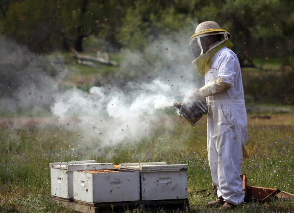 Συμπλήρωση ερωτηματολογίου για επιπτώσεις κλιματικής αλλαγής στη μελισσοκομία