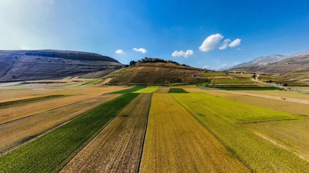 Ιταλία: Ινδός εργάτης πέθανε όταν ο εργοδότης του τον άφησε τραυματία και αβοήθητο