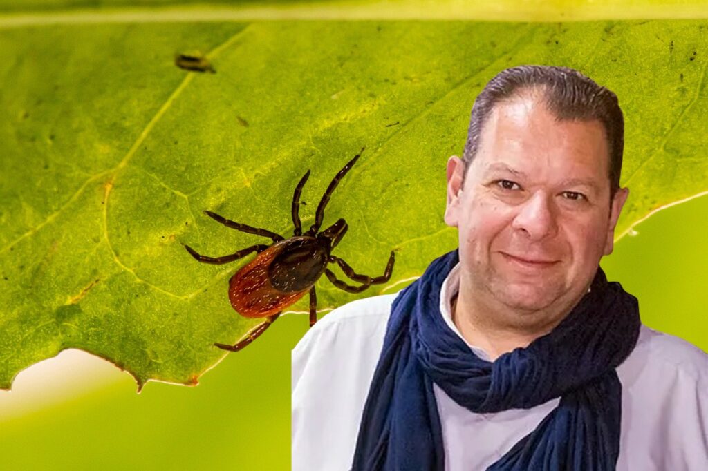 Προβλήματα ακόμα και στα… σπίτια μας από την “τσιμπουροχρονιά”! Όλες οι λύσεις