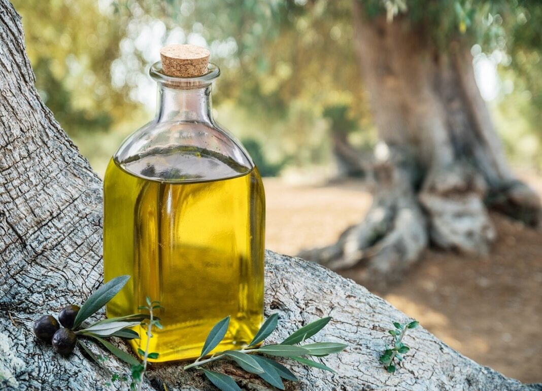 Ελαιόλαδο: Τέλος στη μεταφορά με τενεκέ – Τσουχτερά πρόστιμα