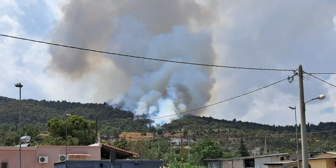 Φωτιά στα Γλυκά Νερά! Ήχησε το 112!