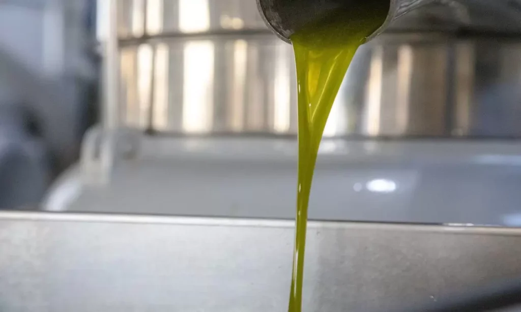 Ελαιόλαδο: Χαμηλότερη η παραγωγή φέτος στην Κρήτη