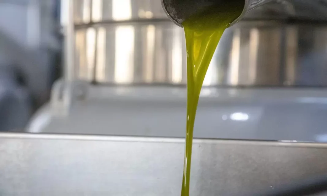 Ελαιόλαδο: Σε αποκλιμάκωση η τιμή του