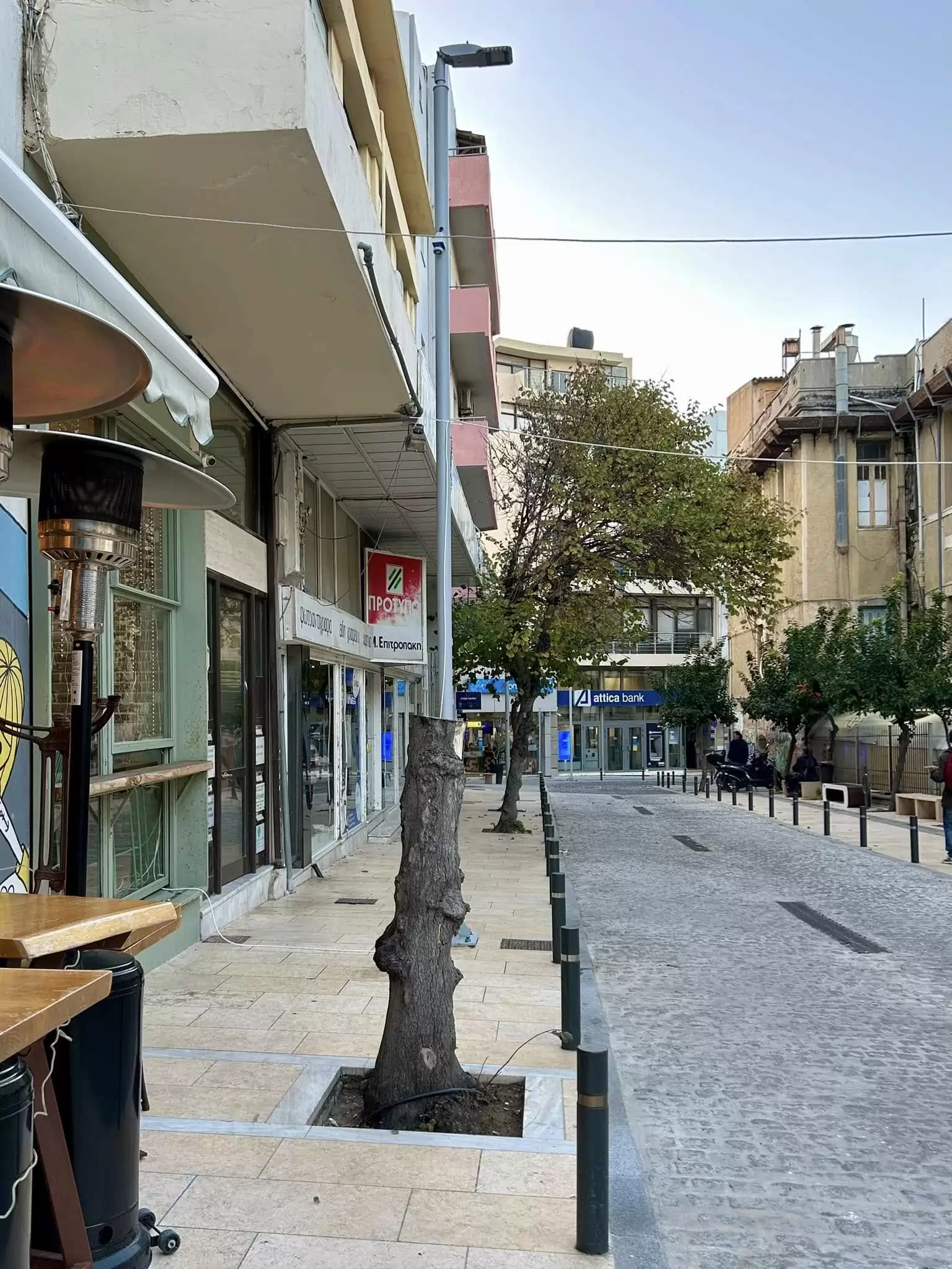 Μαρία Κοζυράκη: Εκφράζει την οργή και την απογοήτευση της για κοπή δέντρου στο κέντρο του Ηρακλείου – Δείτε τι γράφει