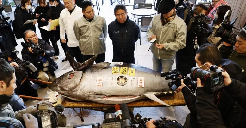 Ιαπωνία: Τόνος bluefin  276 κιλών, πωλήθηκε για χρυσάφι!