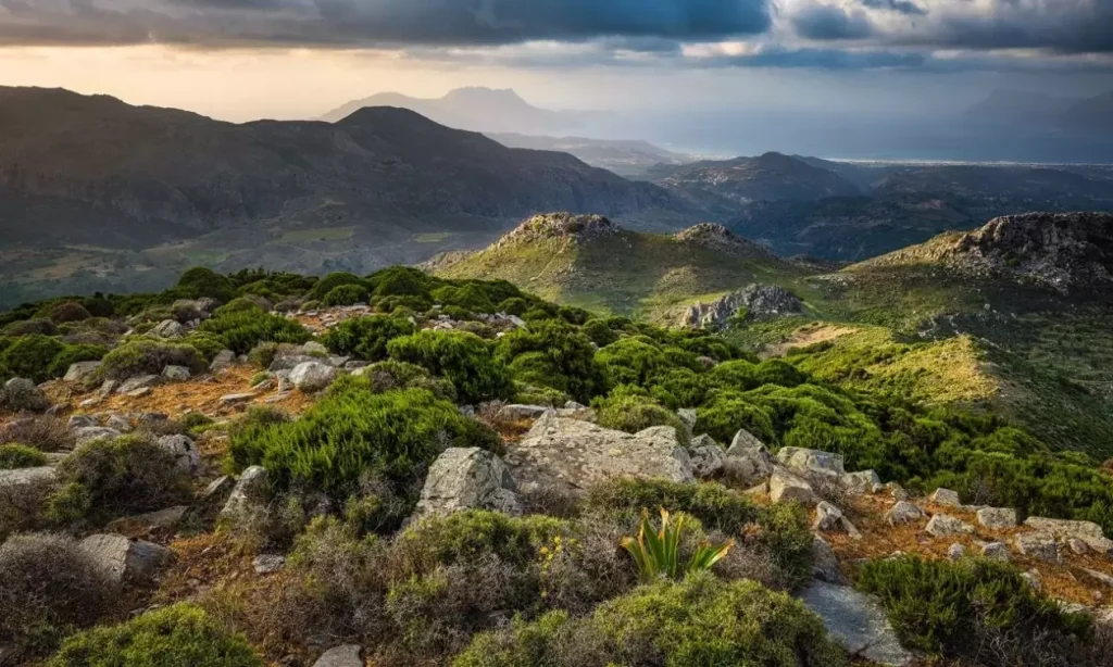 Ευρωπαϊκή ημέρα NATURA 2000 με εκδηλώσεις σε όλη την Ελλάδα