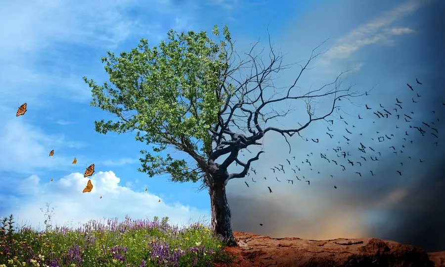 Το «σκοτσέζικο ντουζ» του καιρού  – Από ζέστη και σκόνη, πάμε σε…βαρυχειμωνιά!