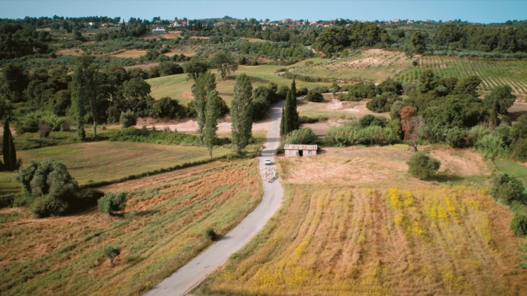Νέος νόμος: Τέλος στη διαμάχη Δημοσίου- ιδιωτών για ιδιοκτησίες δύο εκατ. στρεμμάτων