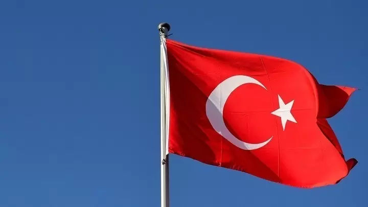 Οι τουρκικές αρχές επιβεβαίωσαν τη σύλληψη Σουηδού δημοσιογράφου
