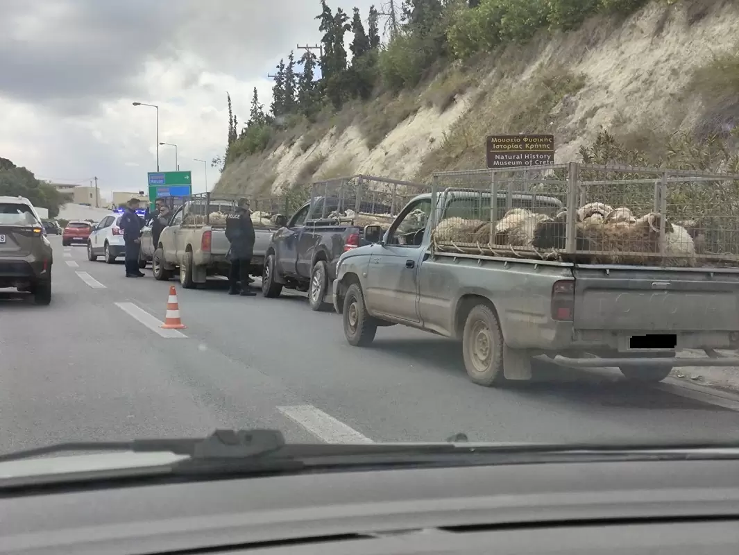 Ο έλεγχος, η περιέργεια και η… ουρά στο ΒΟΑΚ