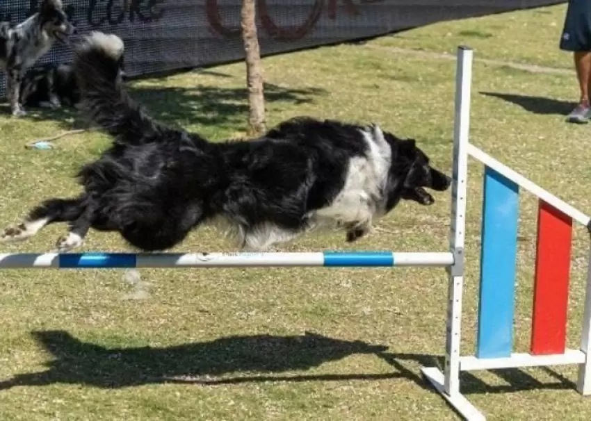 Στο Πεδίον του Άρεως, στις 5 και 6 Απριλίου, το «Woof Festival»