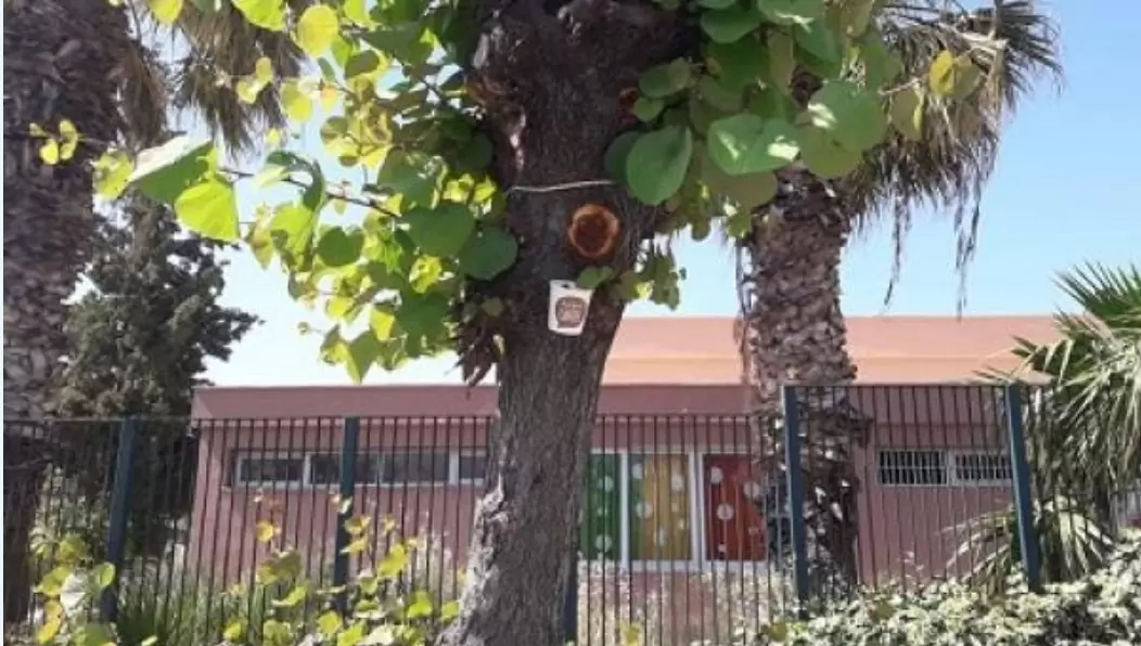 Βιολογική προστασία για τις Κουτσουπιές από την Υπηρεσία Πρασίνου του Δήμου Ηρακλείου