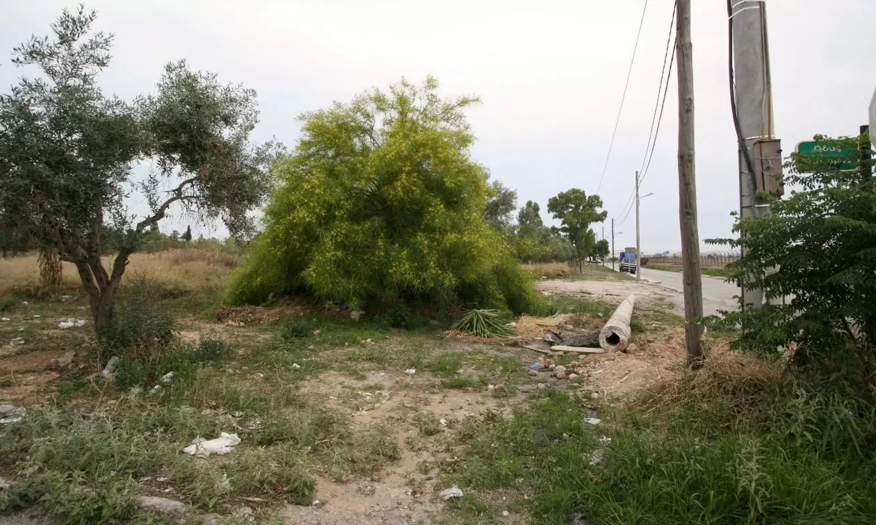 akatharista.apps.gov.gr: Ξεπέρασαν τις 200.000 οι δηλώσεις καθαρισμού οικοπέδων