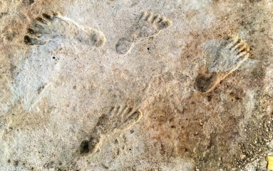 Ομάδα επιστημόνων στην Κίσσαμο Χανίων για τη μελέτη αποτυπωμάτων δίποδης βάδισης προγόνων του ανθρώπου