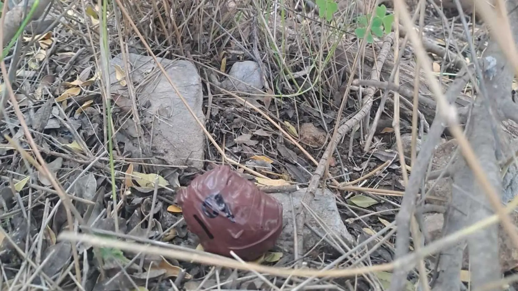 Συνελήφθη κτηνοτρόφος με ένα κιλό κοκαΐνης στο Σίσι