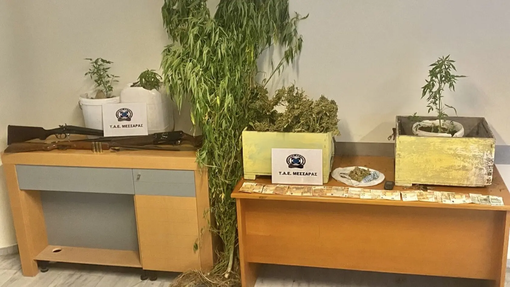 Συλλήψεις για κάνναβη και όπλα