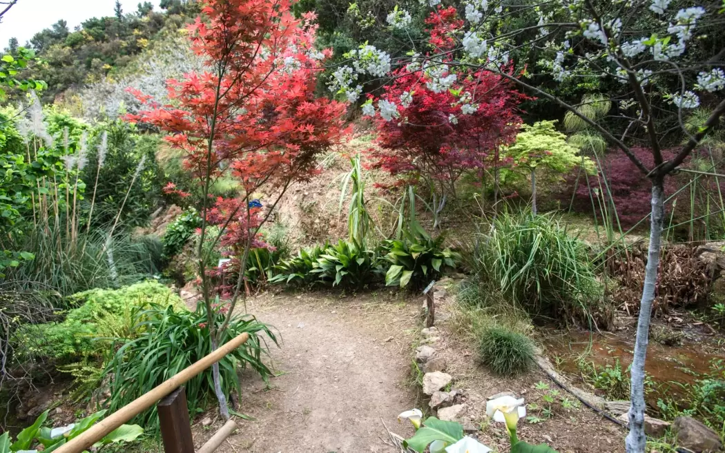 Τρία νέα αστικά πάρκα ενδημικών φυτών δημιουργούνται στον Δήμο Ηρακλείου