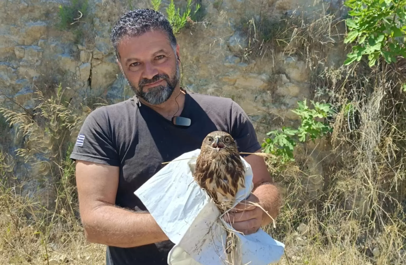 Επιτυχημένη επιχείρηση διάσωσης γερακιού…