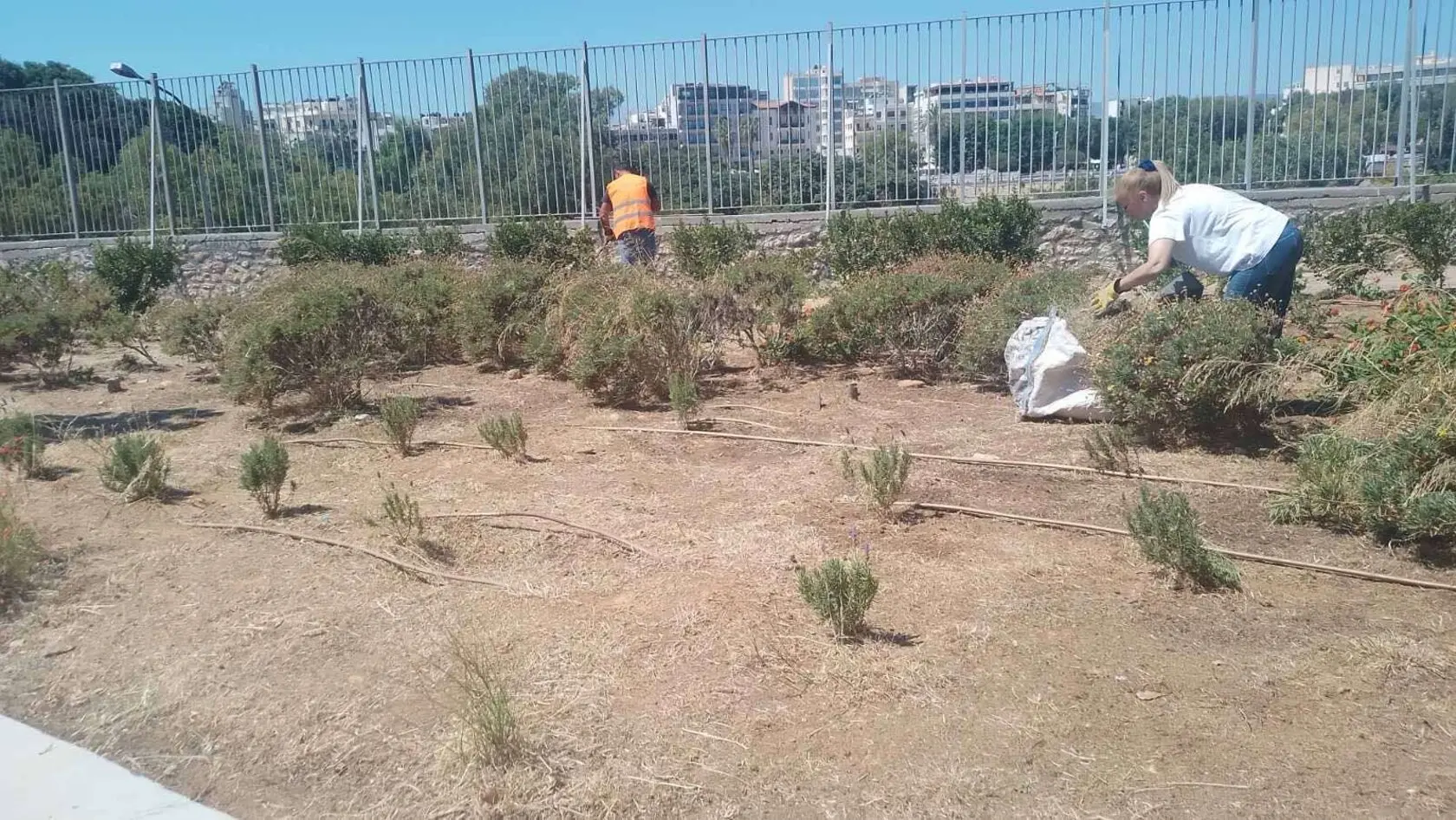 Ξεκίνησε ο καλλωπισμός και η συντήρηση των χώρων πρασίνου σε όλα τα σχολεία του Δήμου Ηρακλείου