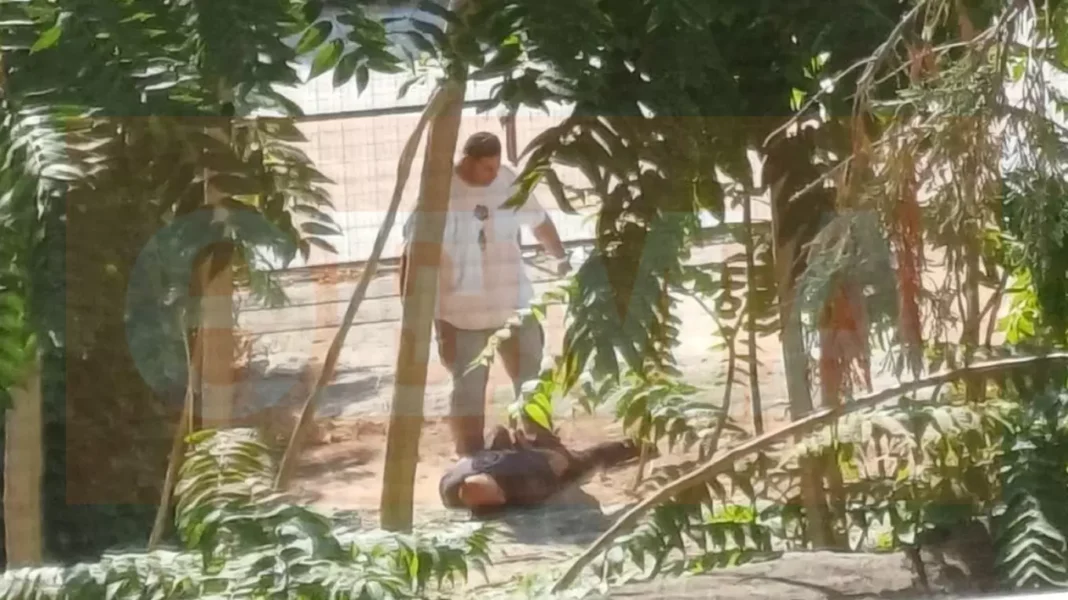 Η στιγμή της σύλληψης του 40χρονου συζυγοκτόνου στον Βόλο – Δείτε φωτογραφίες