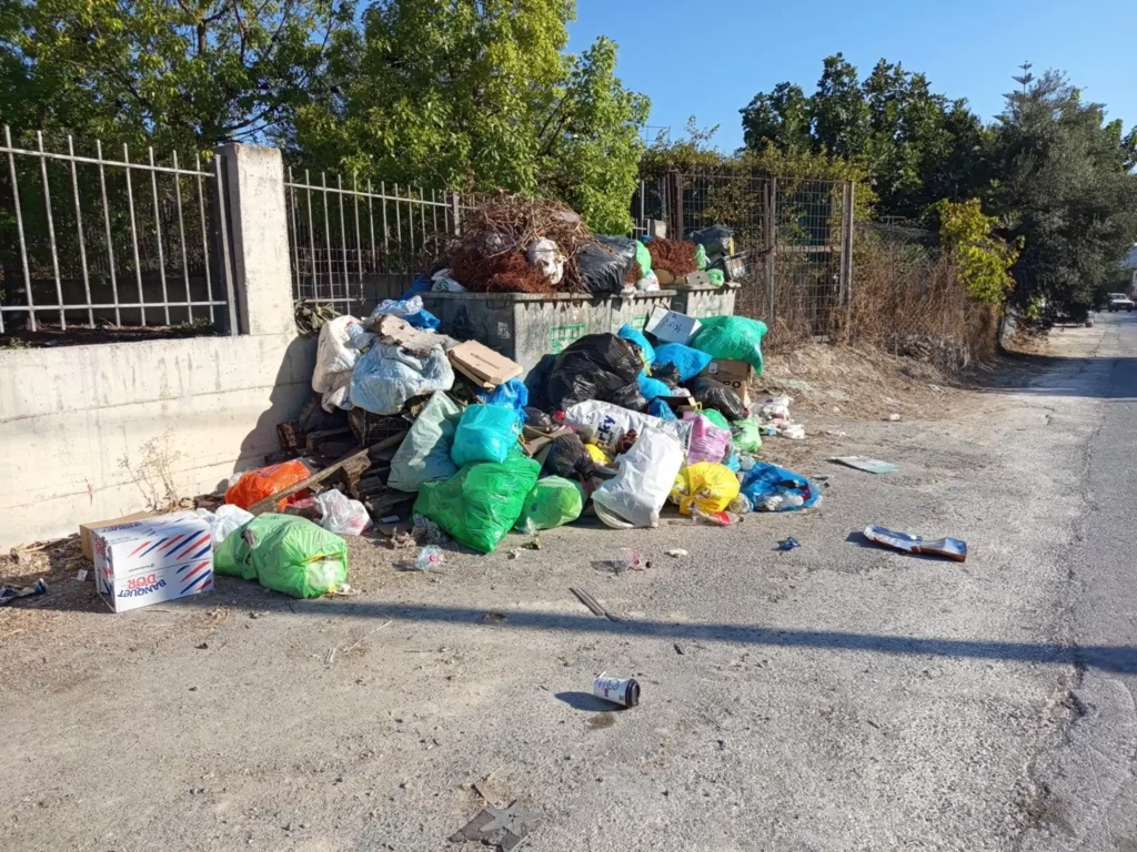 Φοινικιά και Μαλάδες: Σκουπίδια, μπάζα, τρωκτικά και ακαθάριστα τα ρέματα!