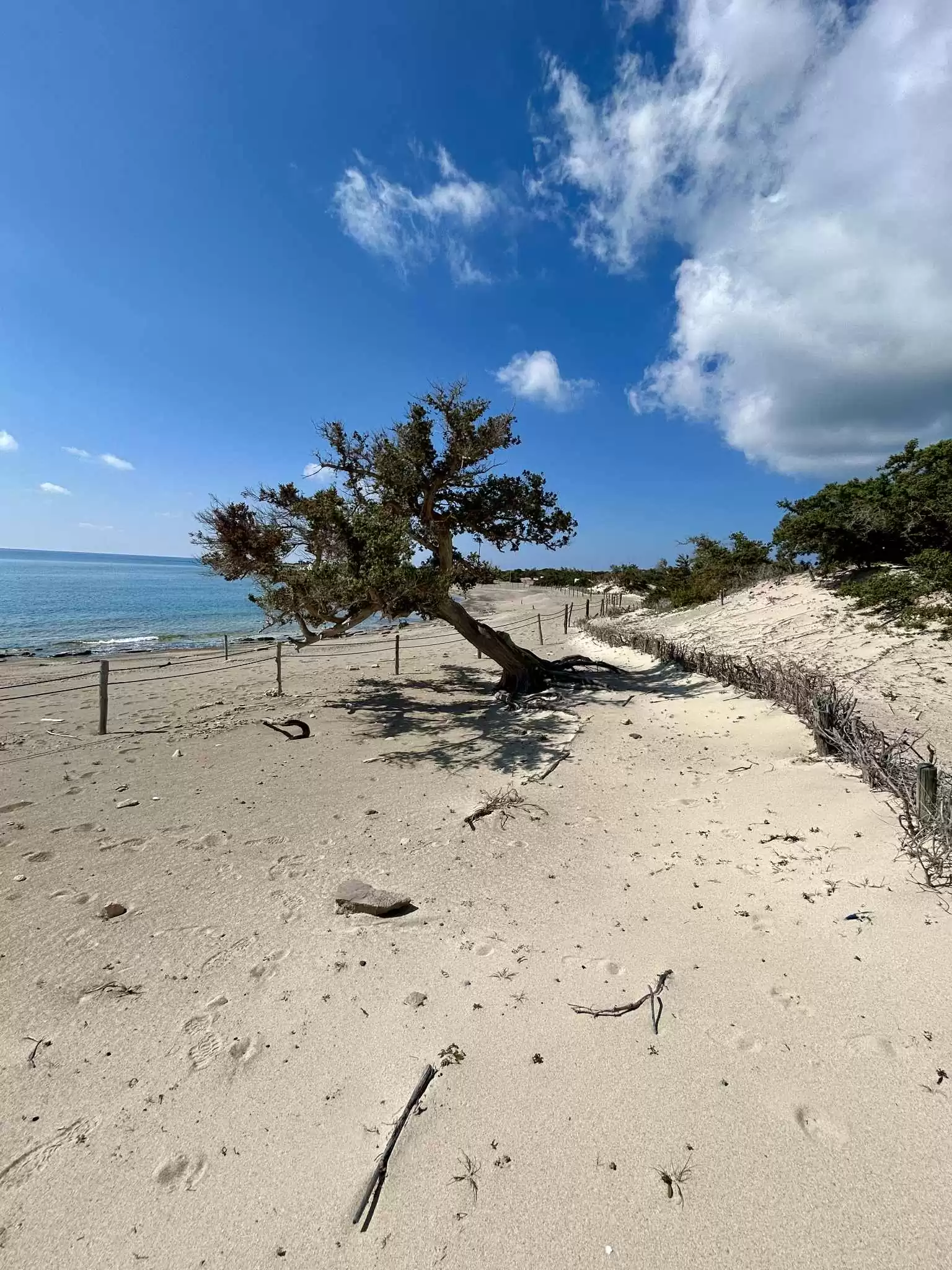 Ολοκλήρωση του Σχεδίου Δράσης για τη νήσο Χρυσή  από την Επιτροπή Εφαρμογής και Παρακολούθησης