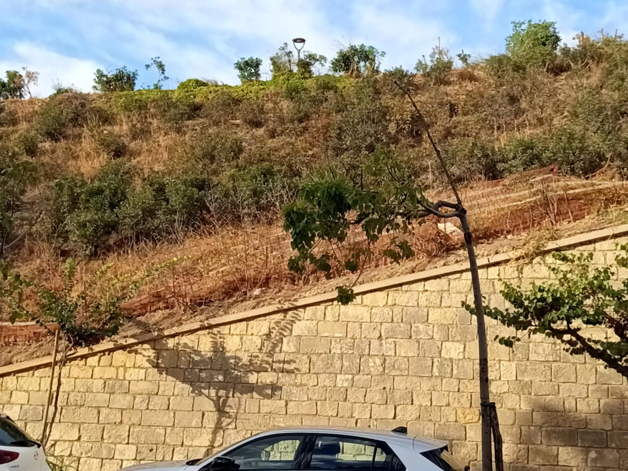 Ενετικά τείχη: Ξερά χόρτα παντού – Δάσος επικίνδυνο για φωτιά!