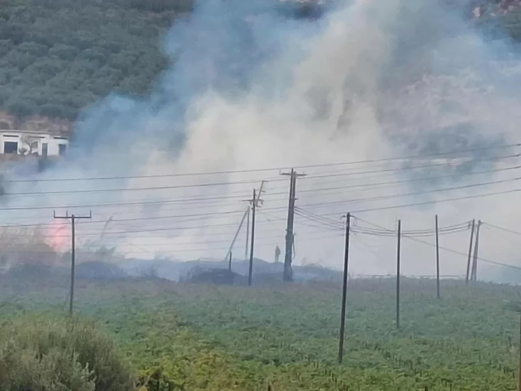 Παρέμβαση των δημοτικών συμβούλων της «Λαϊκής Συσπείρωσης» για την πυρκαγιά σε Φοινικιά-Μαλάδες