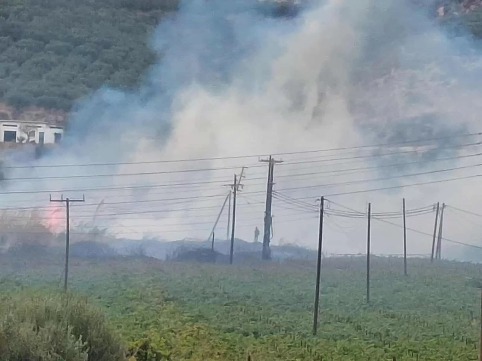 Παρέμβαση των δημοτικών συμβούλων της «Λαϊκής Συσπείρωσης» για την πυρκαγιά σε Φοινικιά-Μαλάδες
