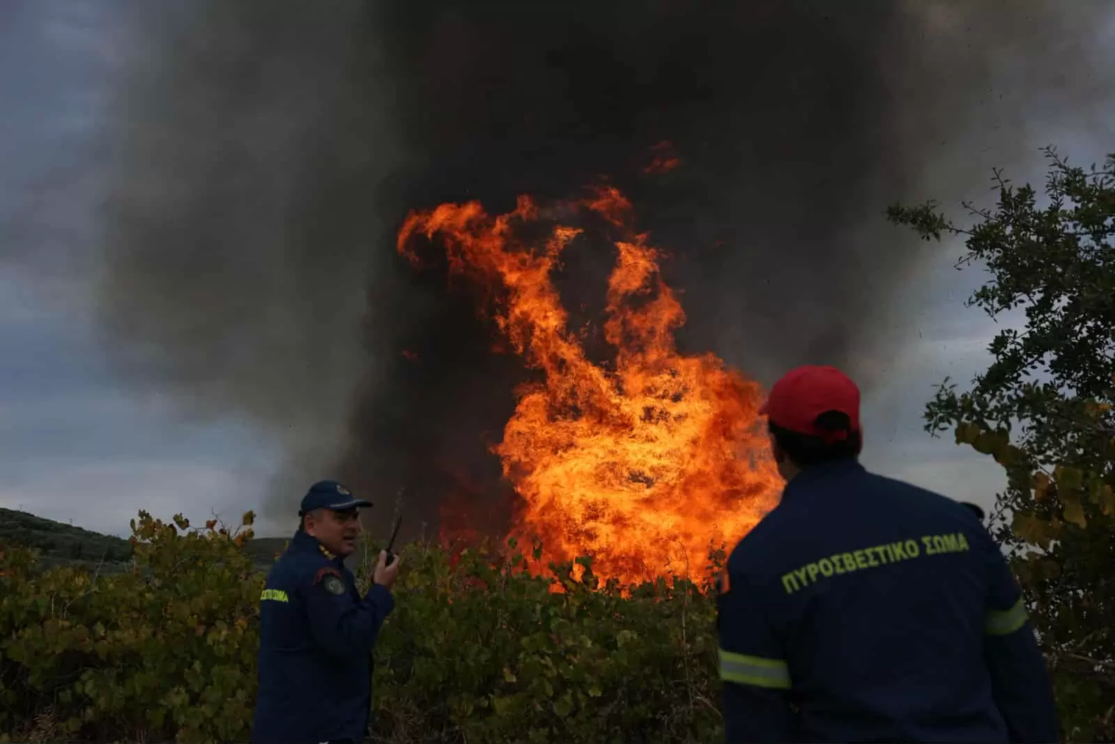 Πυρκαγιά στις Μαλάδες-Μήνυμα από το 112