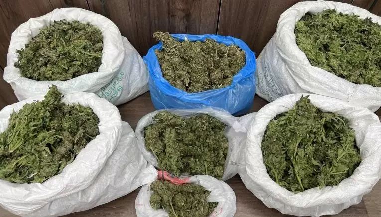 Ρέθυμνο: Τέσσερις συλλήψεις για 14 κιλά κάνναβης!