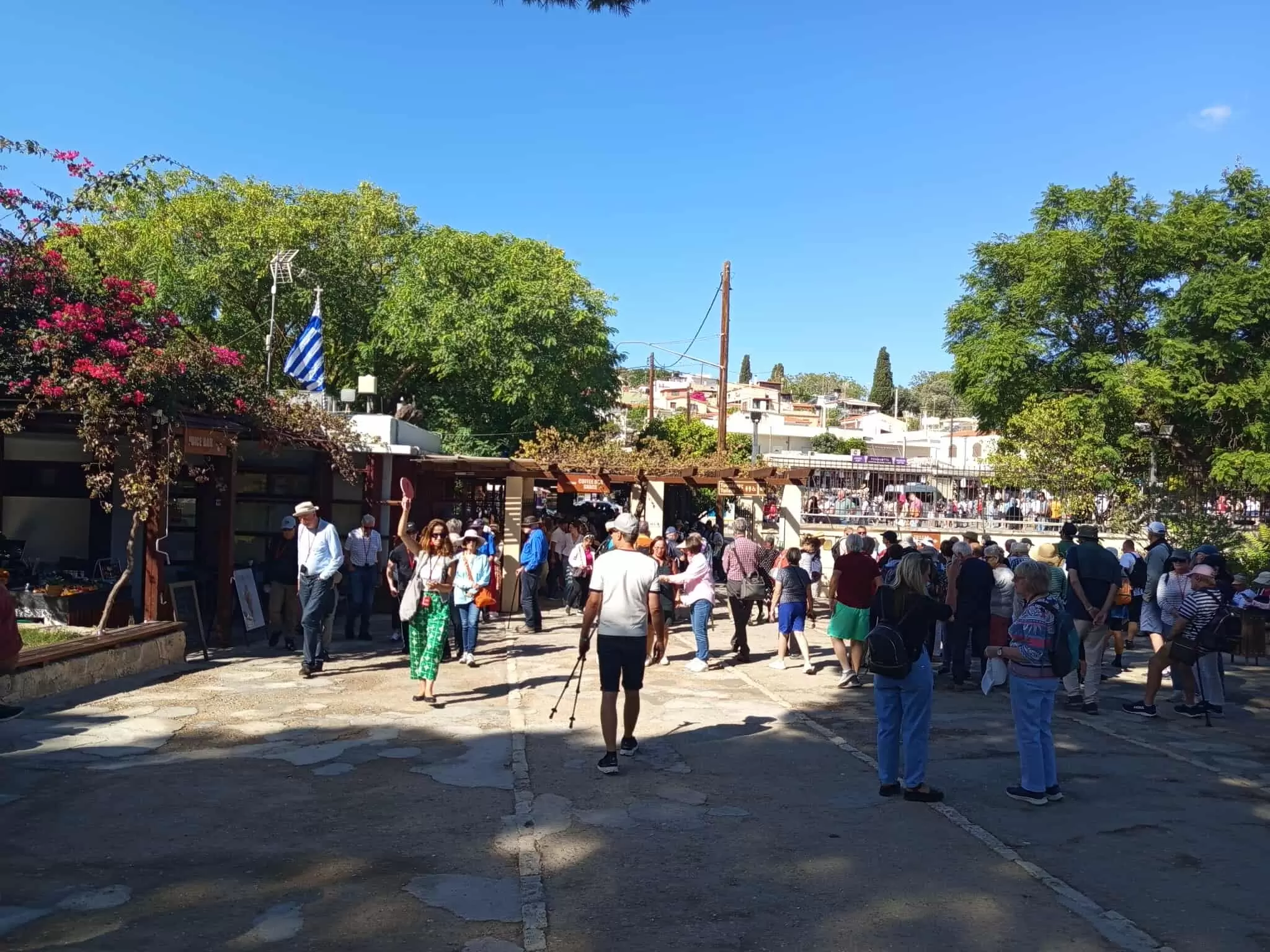 «Φράκαρε» η Κνωσός – 5.500 κόσμος κατέβηκε το πρωί από πέντε κρουαζιερόπλοια – Επιτυχημένη η υποδοχή από την ΟΛΗ