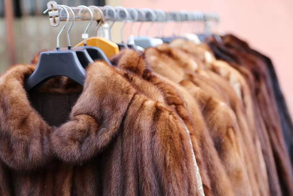 Ξεκίνησαν οι αιτήσεις για το νέο πρόγραμμα επιχορήγησης επιχειρήσεων του κλάδου γουνοποιίας