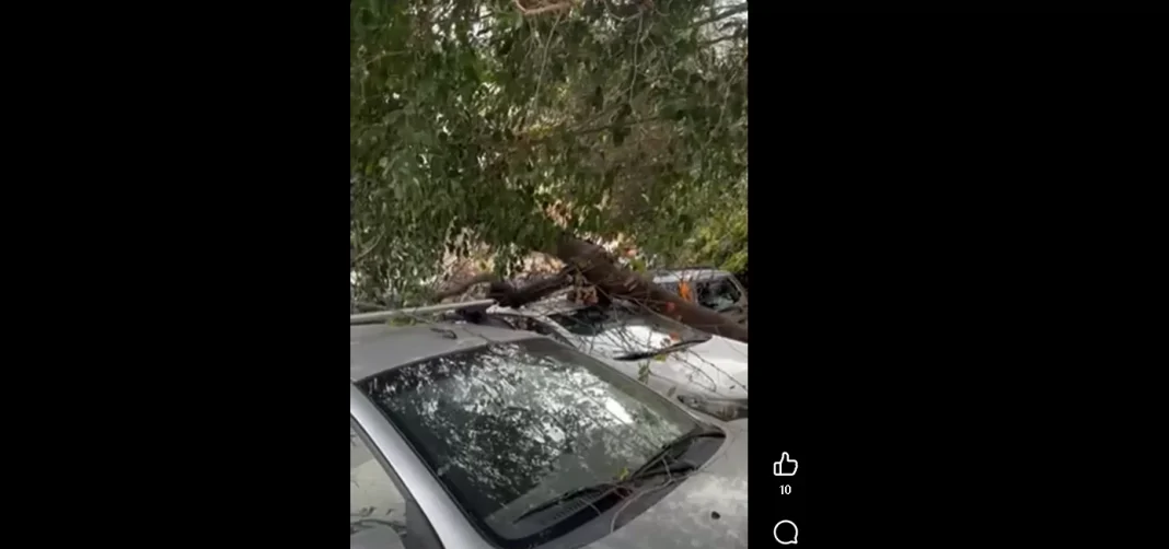 Ζημιές σε αυτοκίνητα στον Μασταμπά από τον αέρα!