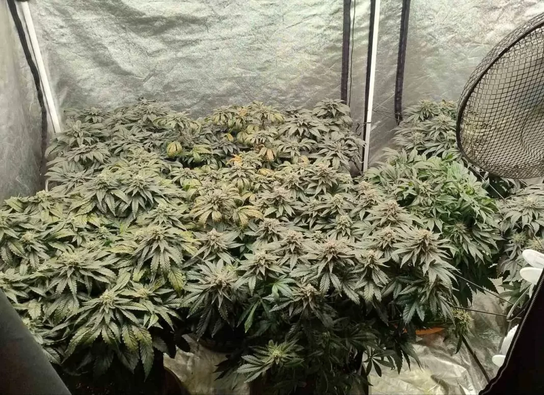 Σύλληψη για ναρκωτικά στο Ηράκλειο