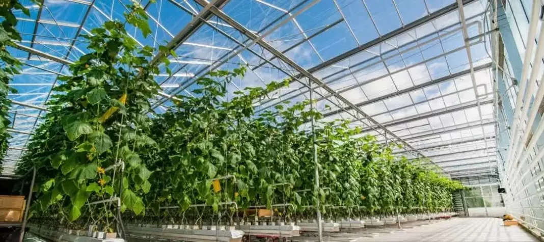 Ελληνική Αναπτυξιακή Τράπεζα: Νέο χρηματοδοτικό εργαλείο για τον αγροτικό τομέα