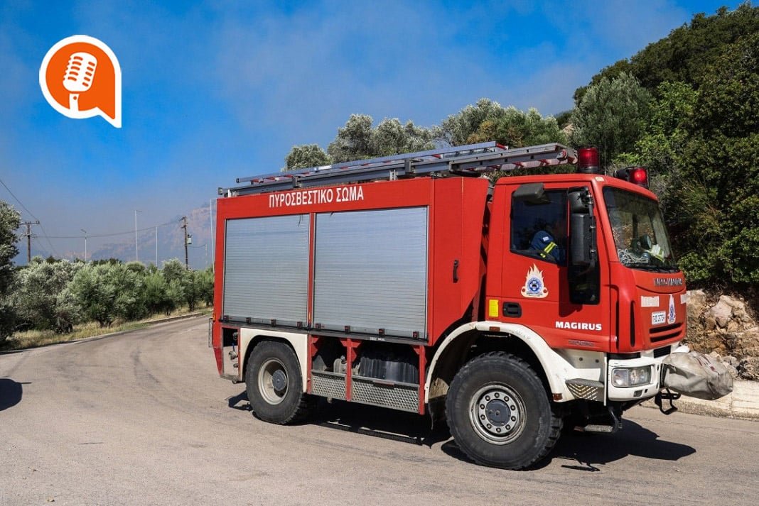 giannis aspetakis dasarxis