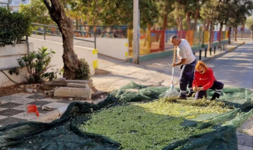 Με ανώτατη τιμή τα 5.2€ έκλεισε η βδομάδα στο ελαιόλαδο