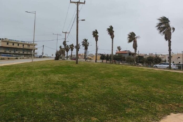 Συνεχίζονται οι παρεμβάσεις συντήρησης και καλλωπισμού πρασίνου στο Ηράκλειο