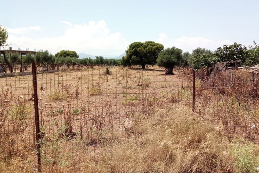 Ακαθάριστα οικόπεδα: Νέοι κανόνες και πρόστιμα – Τι αλλάζει με τον νόμο για την πυροπροστασία