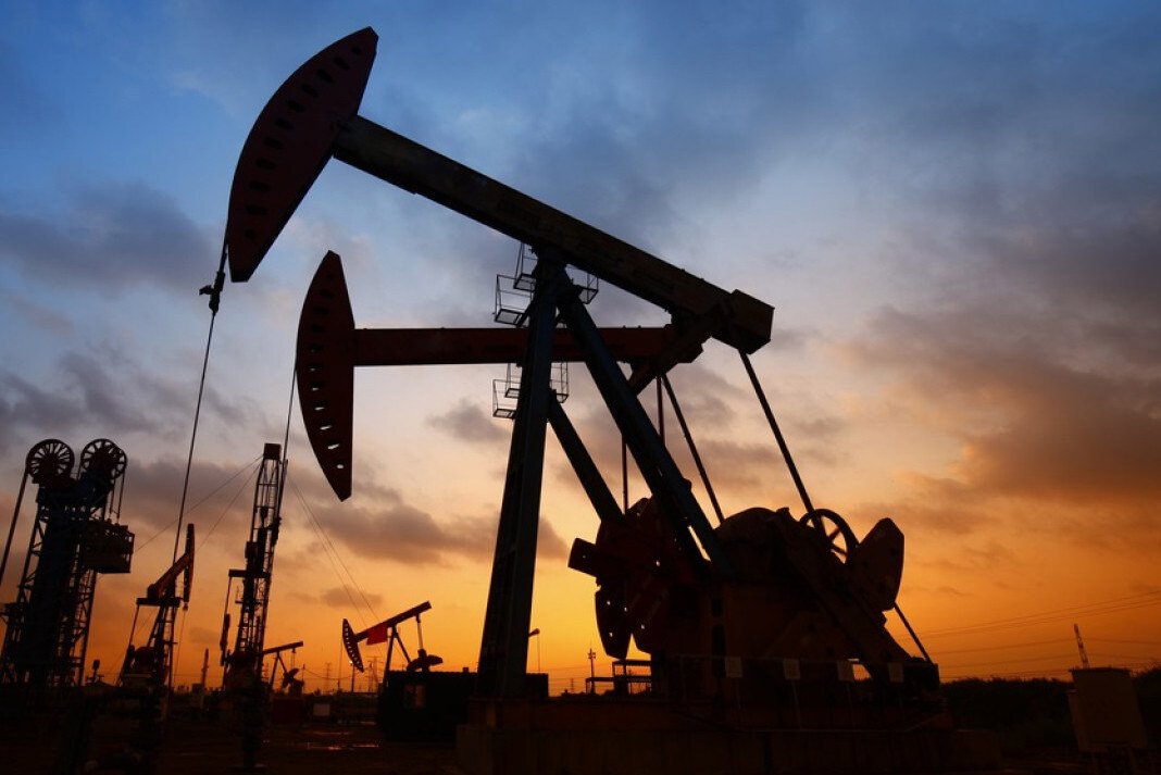 alma timi petrelaiou