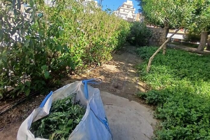 Συνεχίζονται οι εργασίες συντήρησης και καλλωπισμού πρασίνου στον Δήμο Ηρακλείου