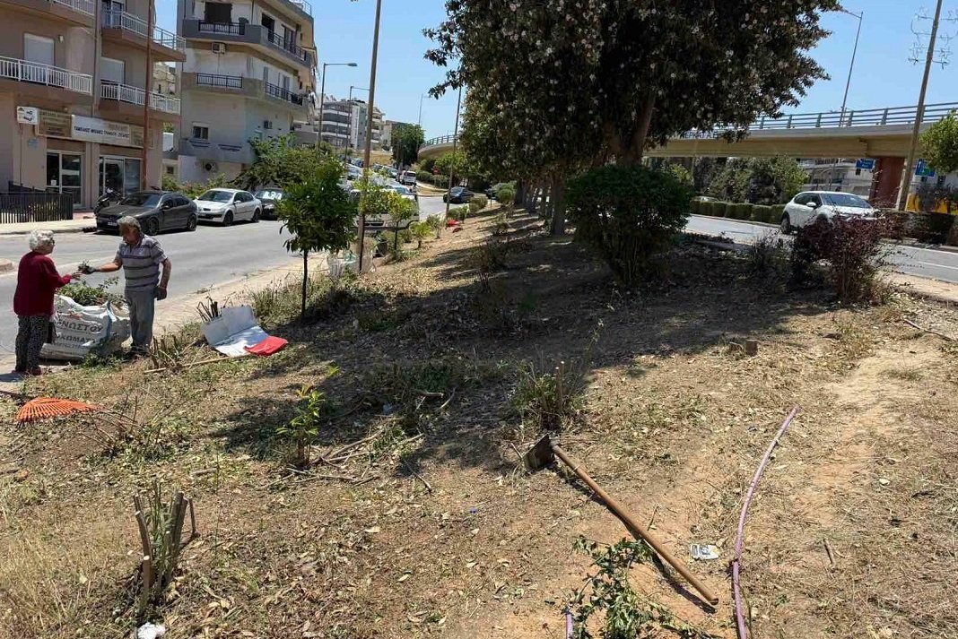 Συνεχίζονται σε διάφορα σημεία του Δήμου Ηρακλείου οι εργασίες συντήρησης και καλλωπισμού του πρασίνου, με τον συντονισμό της Υπηρεσίας Πρασίνου