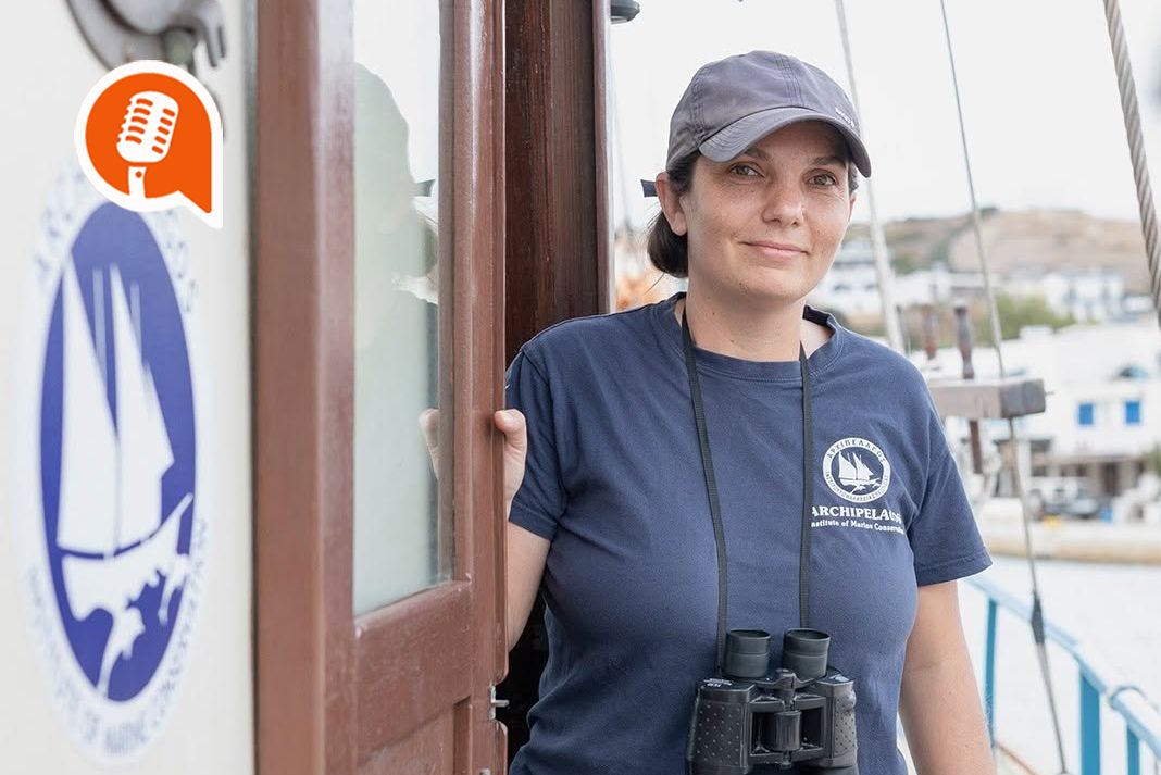 Αναστασία Μήλιου: «Οι φυσικοί θηρευτές είναι η λύση για τους λαγοκέφαλους – Η Κρήτη υποφέρει από υπεραλίευση»