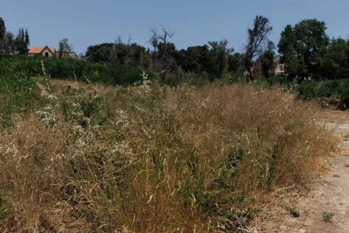 Παράταση έως 22 Ιουνίου για τη δήλωση καθαρισμού οικοπέδων – Χαμηλή φετινή ανταπόκριση