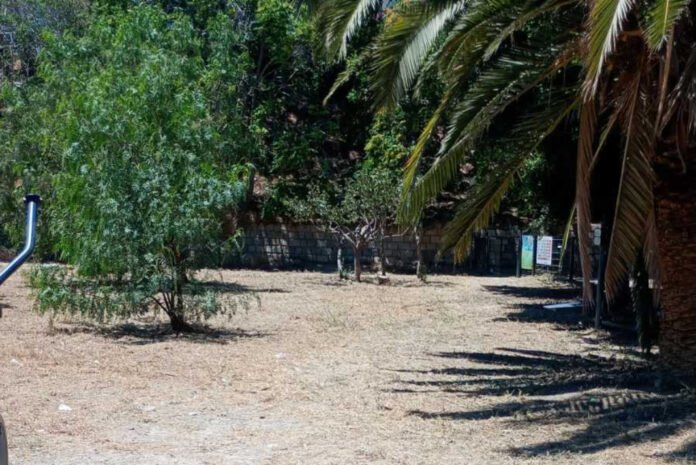 Ηράκλειο: Παρεμβάσεις συντήρησης του πρασίνου στο πάρκο Ευκαλύπτων