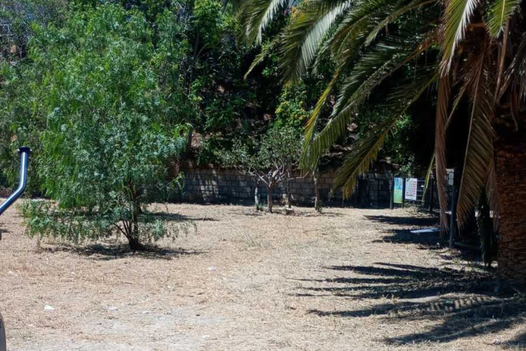 Ηράκλειο: Παρεμβάσεις συντήρησης του πρασίνου στο πάρκο Ευκαλύπτων