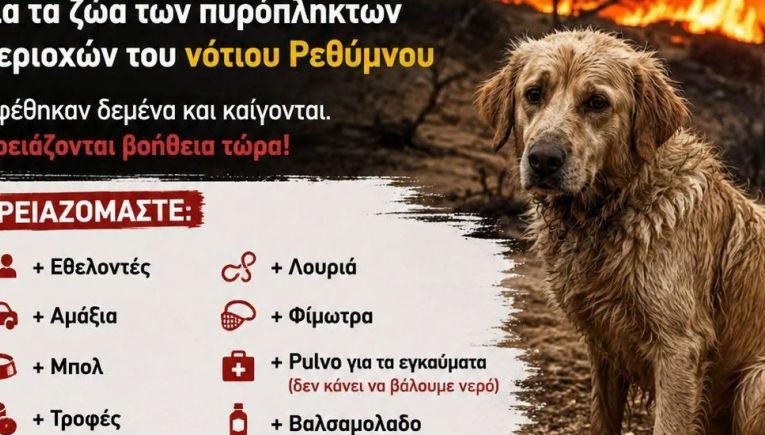 Οργανώνουν επιχείρηση για βοήθεια στα ζώα των πυρόπληκτων περιοχών του νότιου Ρεθύμνου